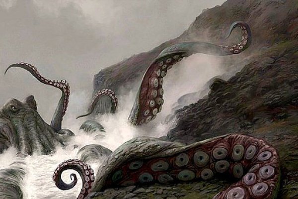 Kraken kraken link24 info