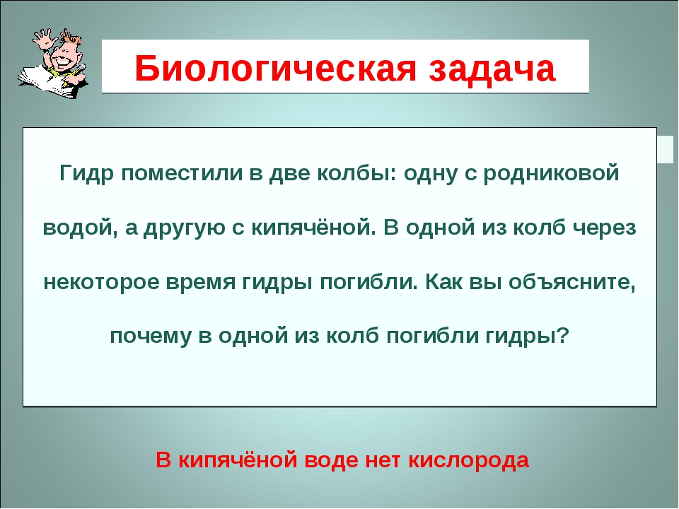 Kra38.at
