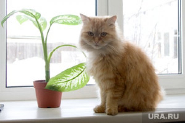 Магазины наркотиков