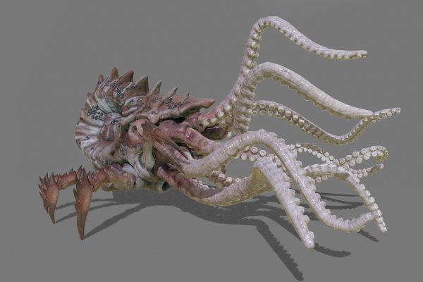 Ссылки зеркала на kraken