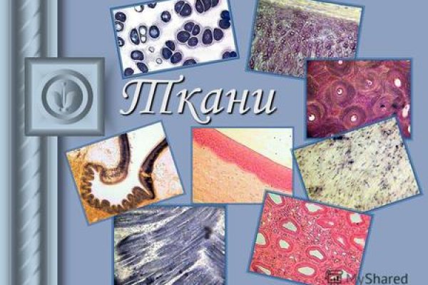 Кракен зеркала официальные