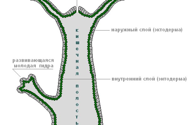 Кракен сайт магазин kraken clear com