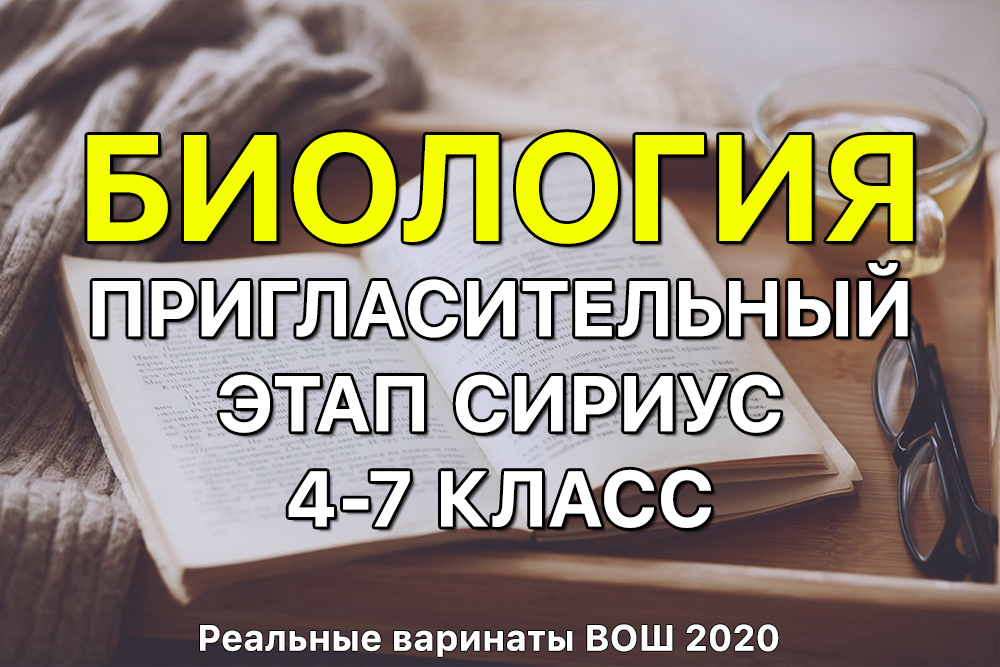 Кракен маркетплейс магазин